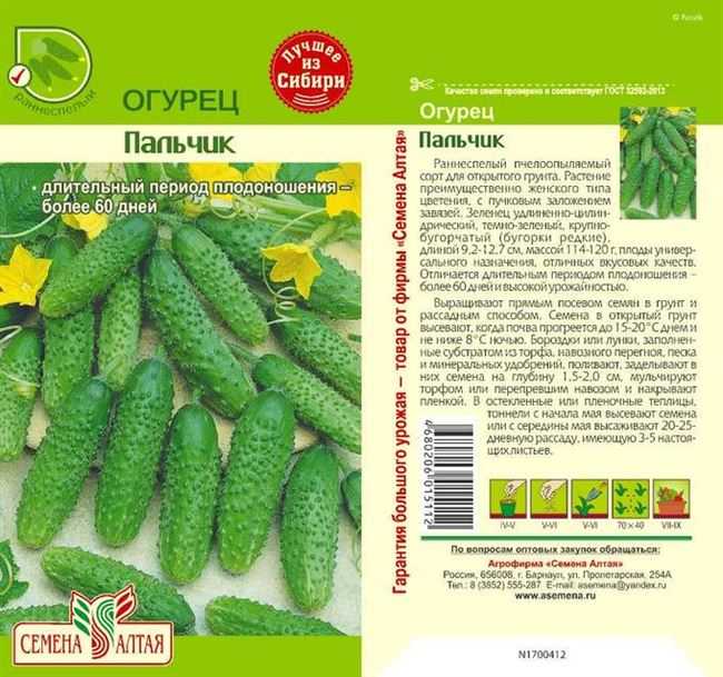 Огурец пальчик: описание сорта, посадка, уход, фото, отзывы