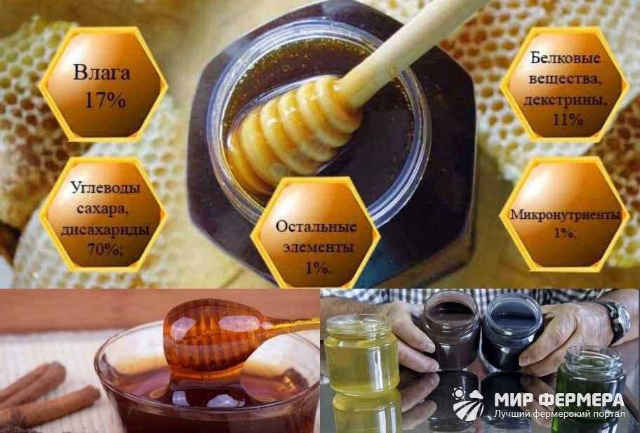 Самый дорогой мёд в мире – топ-10 редких медов