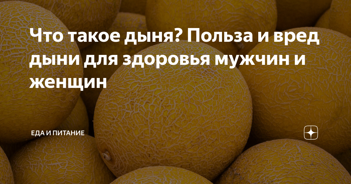 Польза и вред дыни для здоровья человека — полезные свойства бахчевых