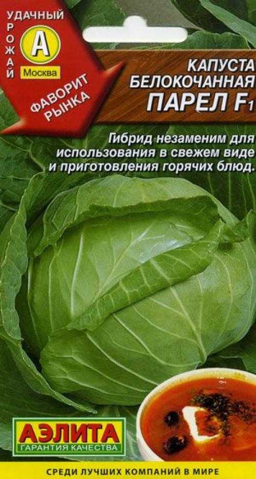 Капуста парел — описание сорта, фото, выращивание в украине