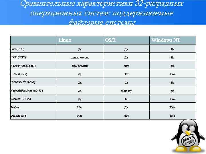 Виды ос подробности строение и их жизнедеятельность