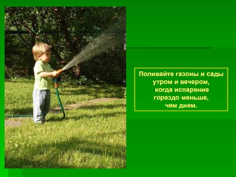 Нормы полива газона.