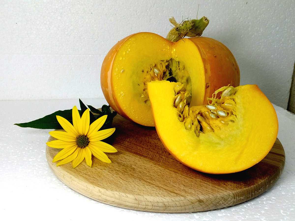 Какие выведены сорта кустовой тыквы?