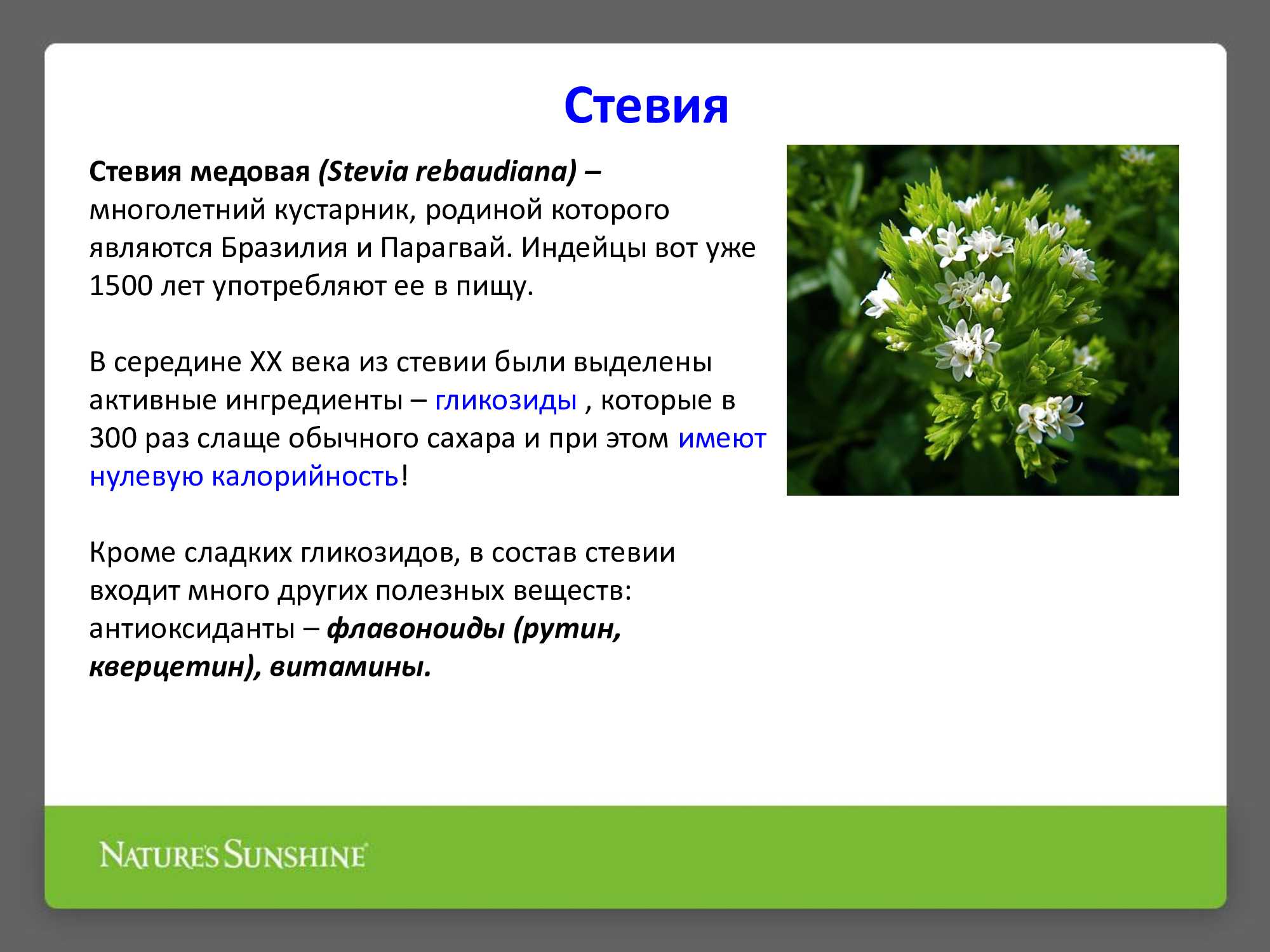Стевия - заменитель сахара: отзывы, польза и вред