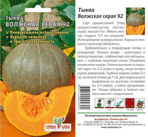 Тыква сорта "серая волжская": особенности и выращивание, характеристики, свойства