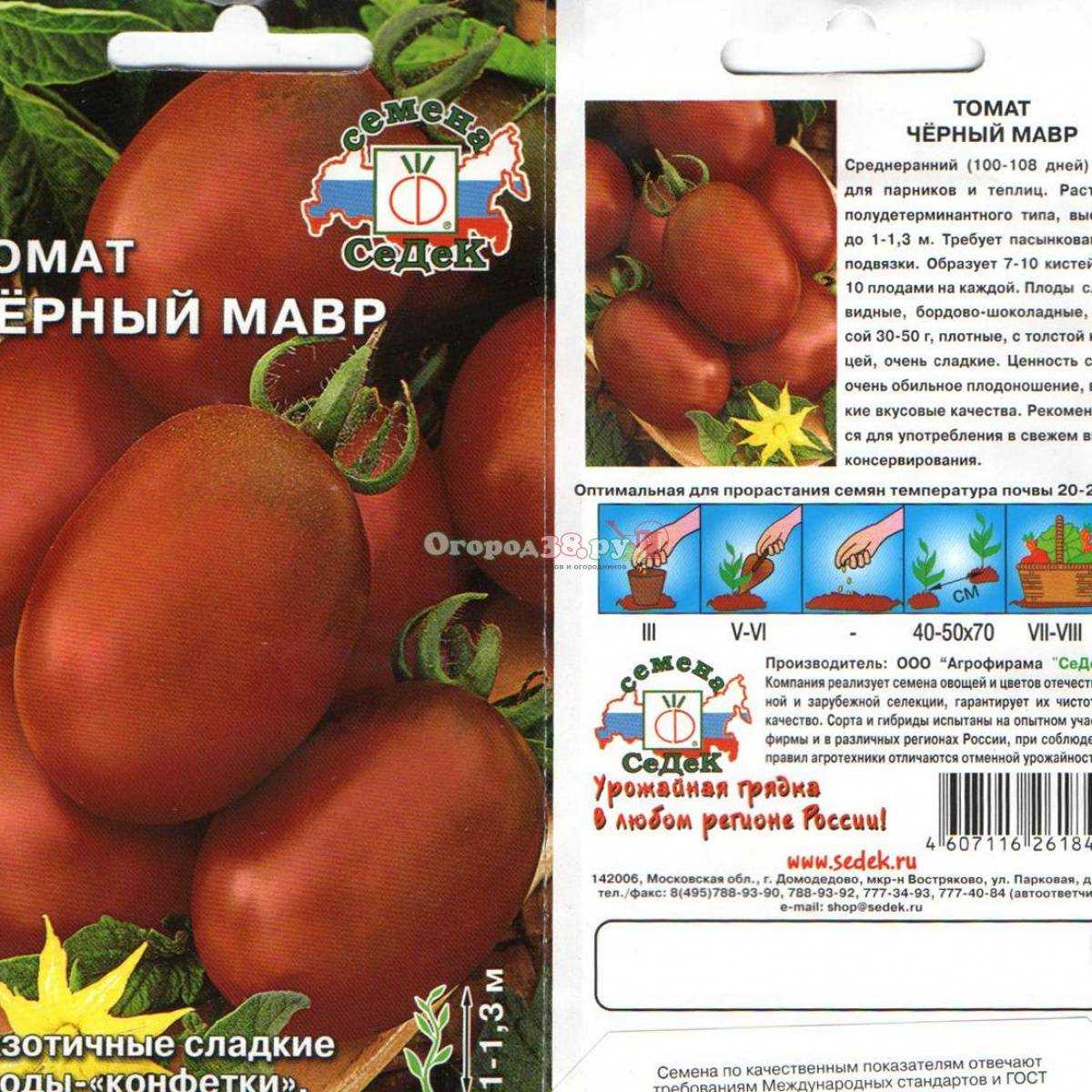 Томат черный мавр: характеристика и описание сорта, выращивание и уход