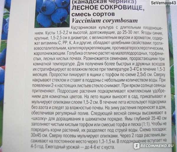 Как подкислить почву для голубики — самые эффективные средства