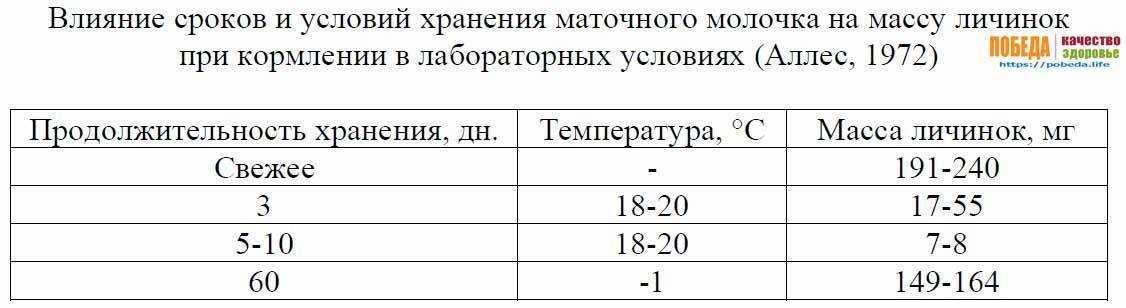 Как хранить пчелиное маточное молочко ⋆ онлайн-журнал для женщин