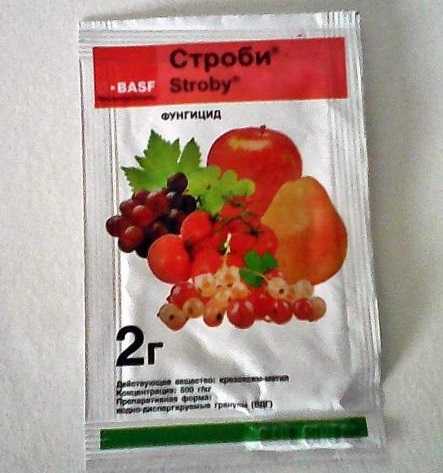 Фунгицид строби