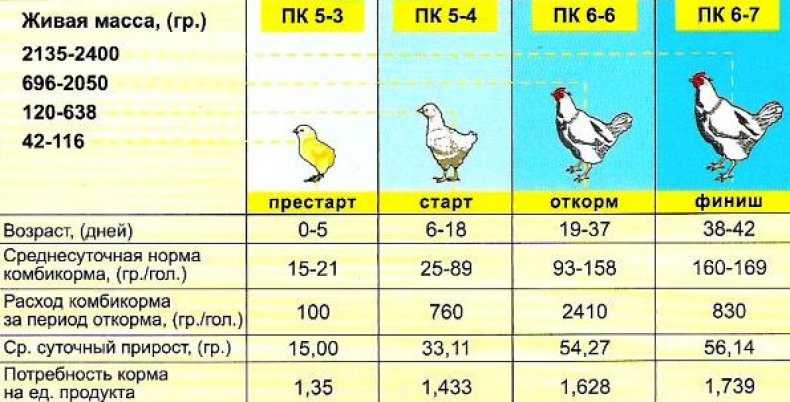 Обзор комбикормов для кур: пк-2, пк-4, пк-5 и пк-6