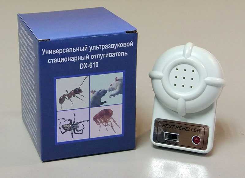 Как выбрать лучший ультразвуковой отпугиватель мышей и других грызунов: виды, принцип работы, обзор популярных моделей, их плюсы и минусы