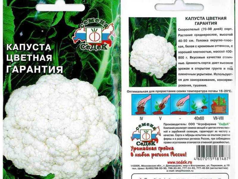 Цветная капуста сноуболл 123: отзывы, фото и описание