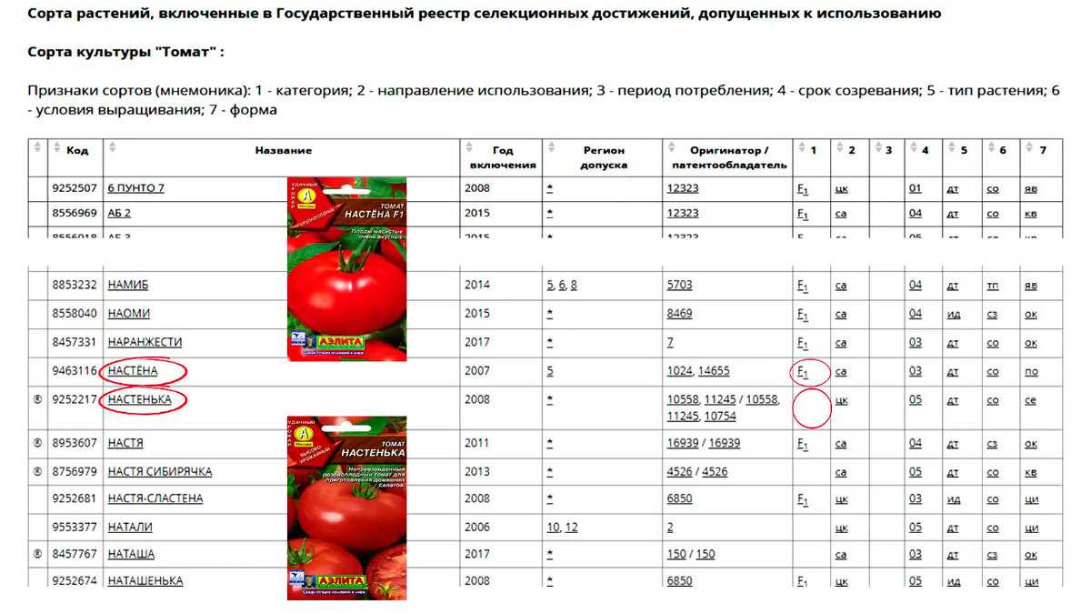 Томат корнабель: характеристика и описание сорта, урожайность отзывы фото