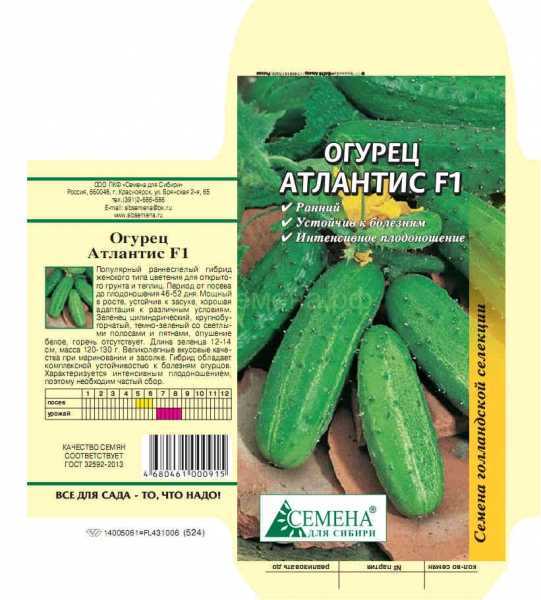Огурец атлантис f1: описание сорта, посадка, уход, фото, отзывы