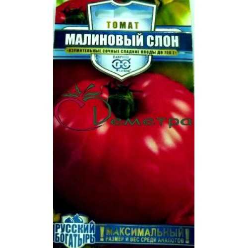 Томат «малиновый слон»: описание сорта, фото, особенности выращивания и основные характеристики помидоры русский фермер