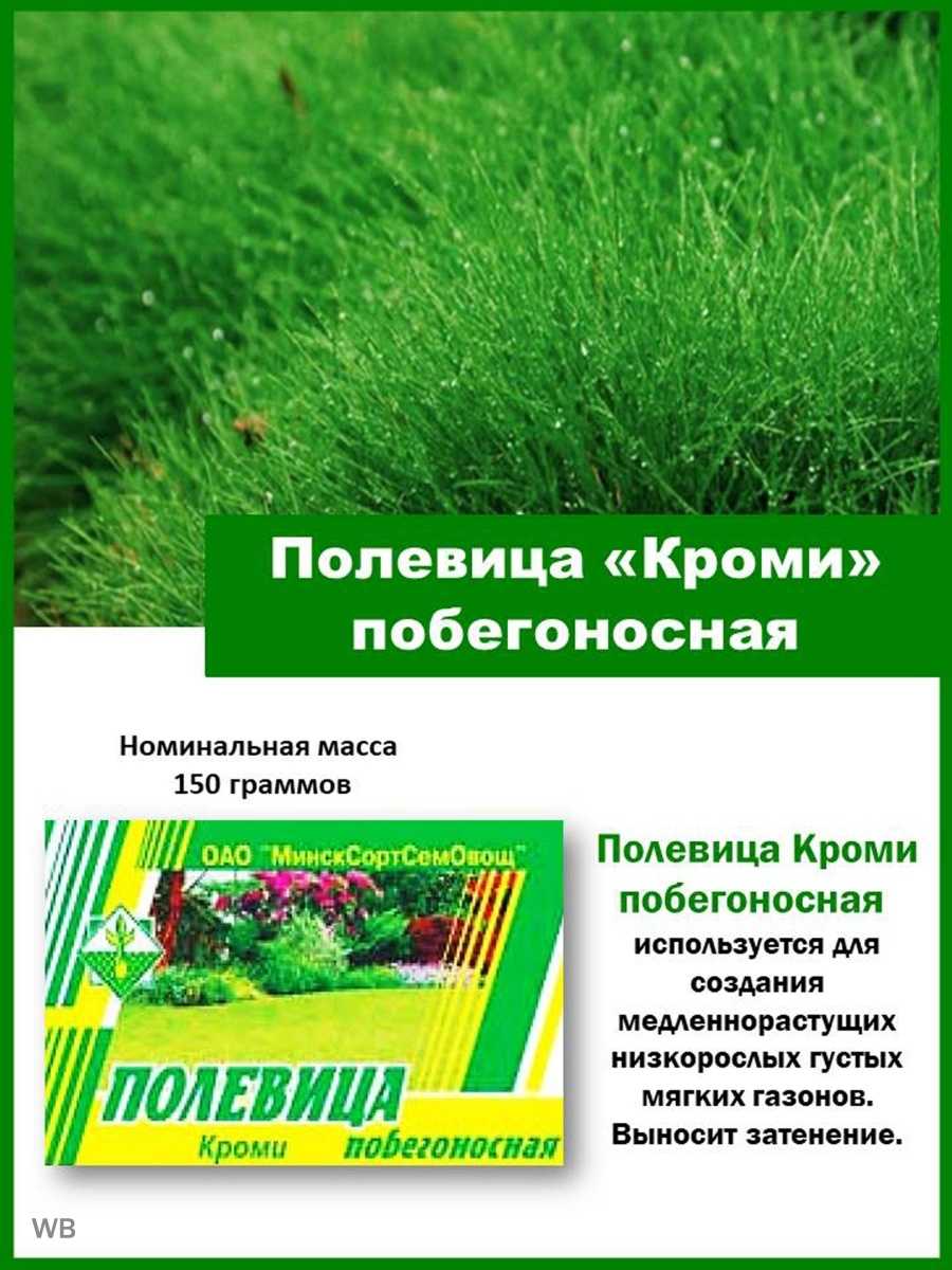 Полевица побегообразующая "cobra nova" (100 гр)