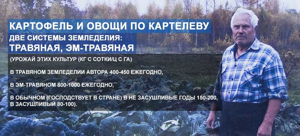 Картофель: посадка и уход в открытом грунте + новые способы посадки