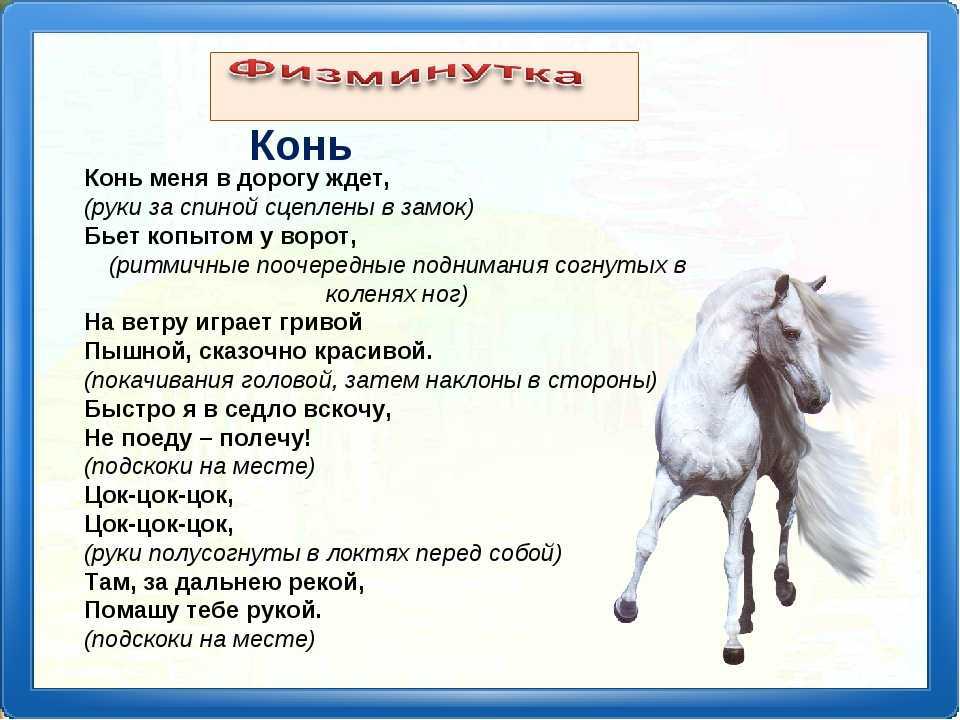 Конь мерин: описание, особенности характера, плюсы и минусы