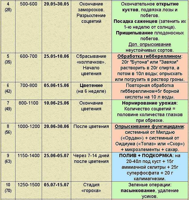Когда и чем обработать виноград весной от болезней и вредителей, эффективные препараты для опрыскивания - дзен дневник