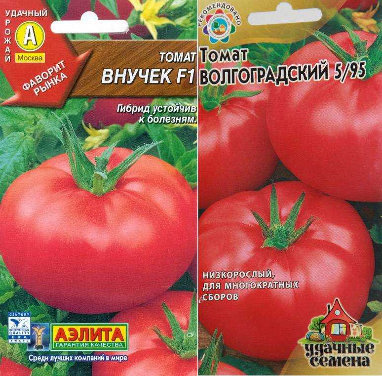 Томат чудо лентяя