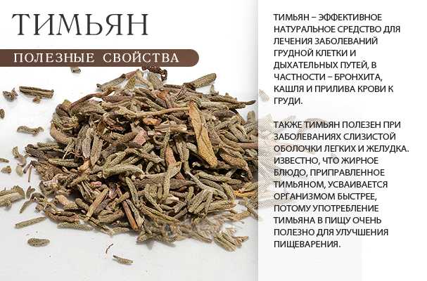 Листья грецкого ореха: лечебные свойства, противопоказания, вред организму человека, и как принимать полезный чай, что содержится в молодых зеленых побегах дерева?
