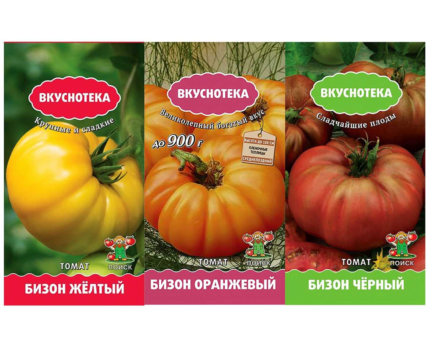 Томат апельсин