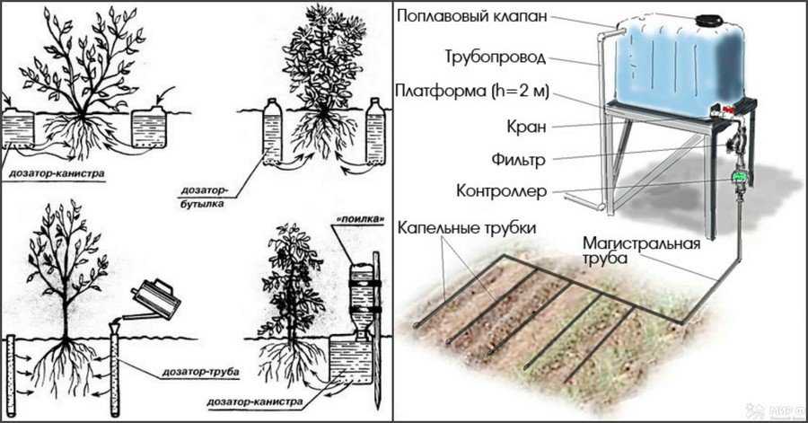 Капельный полив в теплице
