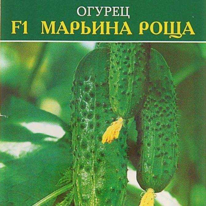 Огурец марьина роща f1: отзывы о выращивании и урожайности, описание сорта и характеристика, посадка и уход, фото семян манул, формирование куста