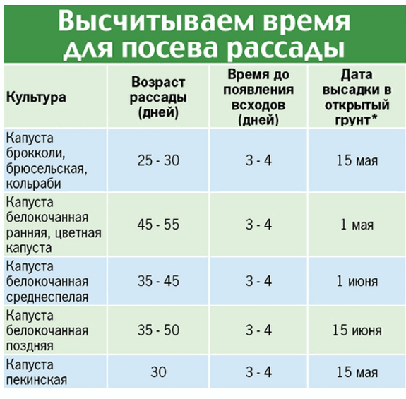 2 способа получить ранние огурцы в неотапливаемой теплице