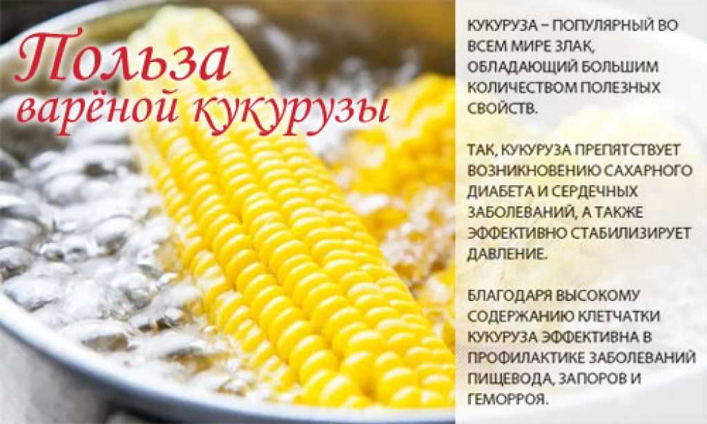 Выращивание кукурузы