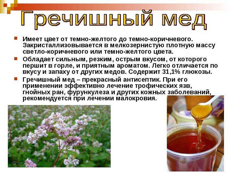 Прополисный мед и его применение – приготовление, дозировки