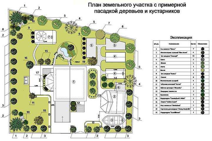Как правильно разбить сад и огород: схемы посадки и фото участков