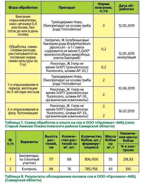 Вегетация растений – как ускорить процесс роста