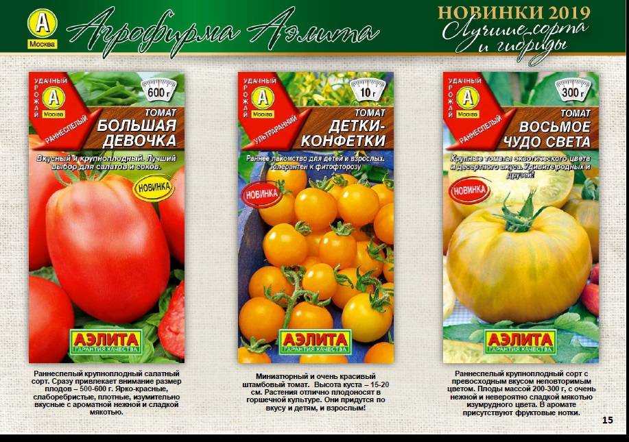 Томат чудо земли, описание, правила посадки, ухода, сбора и хранения