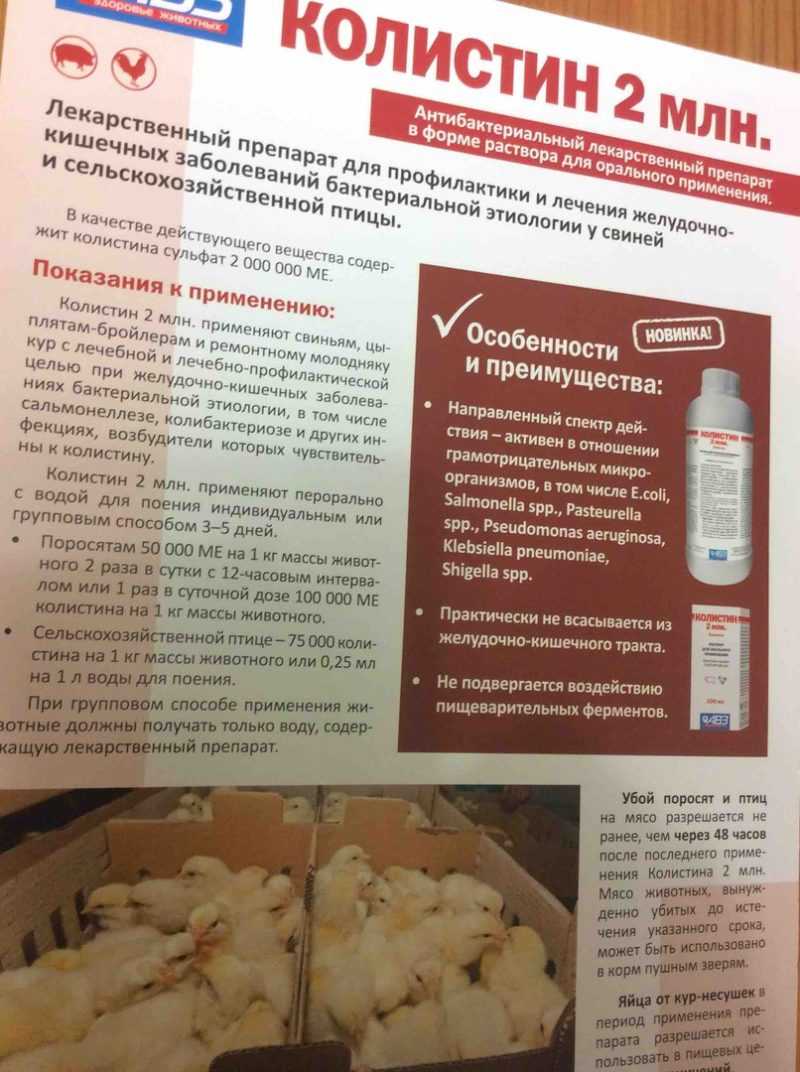 Птичье средство от инфекций – энрофлон