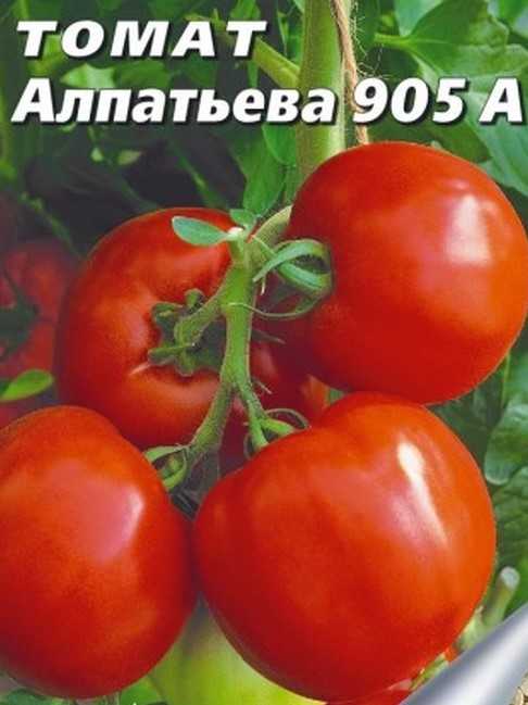 Томат алпатьева ?: характеристика, описание сорта, фото, посадка и уход | qlumba.com
