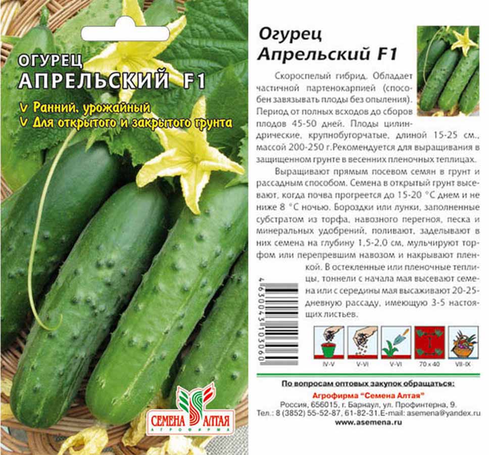 Выбираем самые сладкие сорта огурцов, которые никогда не горчат