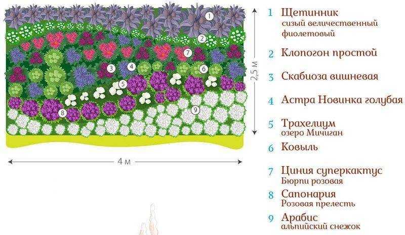 Папоротник садовый посадка и уход - травянистые растения для открытого грунта
