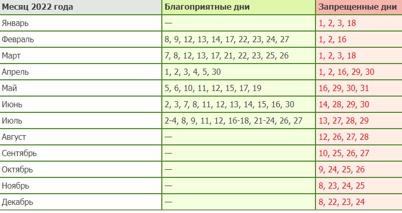Когда сажать картофель в 2023 году: сроки посадки, выращивание и уход