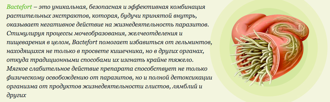 Глисты у свиней: симптомы, что делать и как вывести, лечение таблетками и народными средствами в домашних условия.