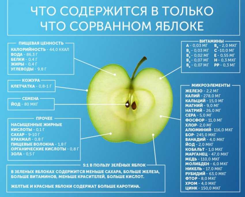 Яблоня строевское: описание и характеристики сорта, правила выращивания, отзывы