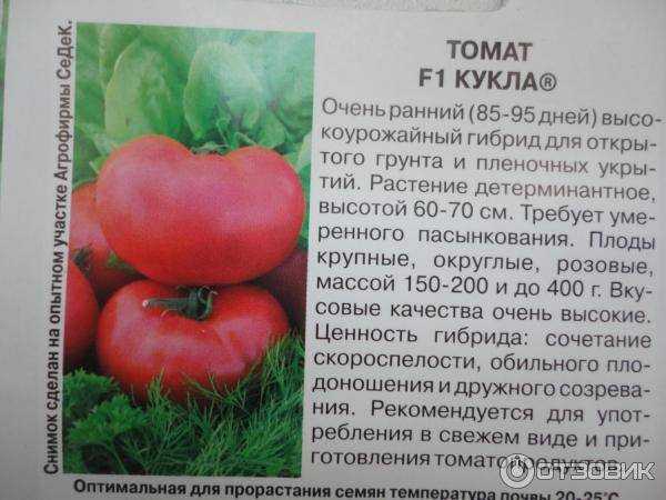 Томат мамина любовь: характеристика и описание сорта, фото, отзывы