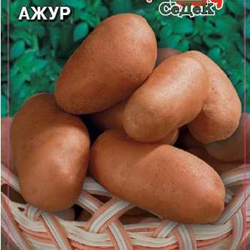 Бесподобный картофель "ажур" с подробным описанием сорта, наглядными фото и характеристикой русский фермер