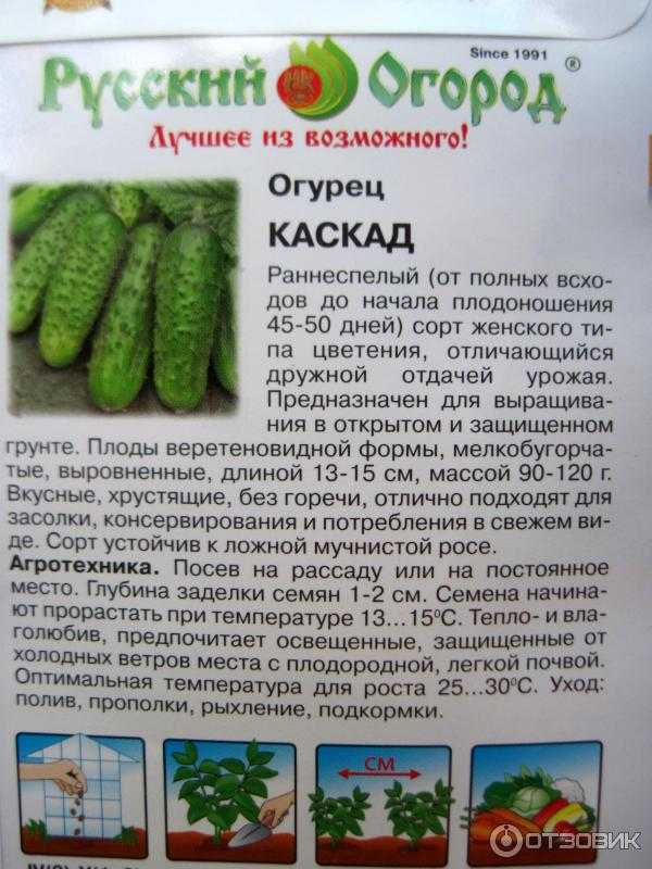 Огурец каскад f1: описание сорта, посадка, уход, фото, отзывы