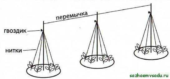 Грядка пирамида для огурцов своими руками