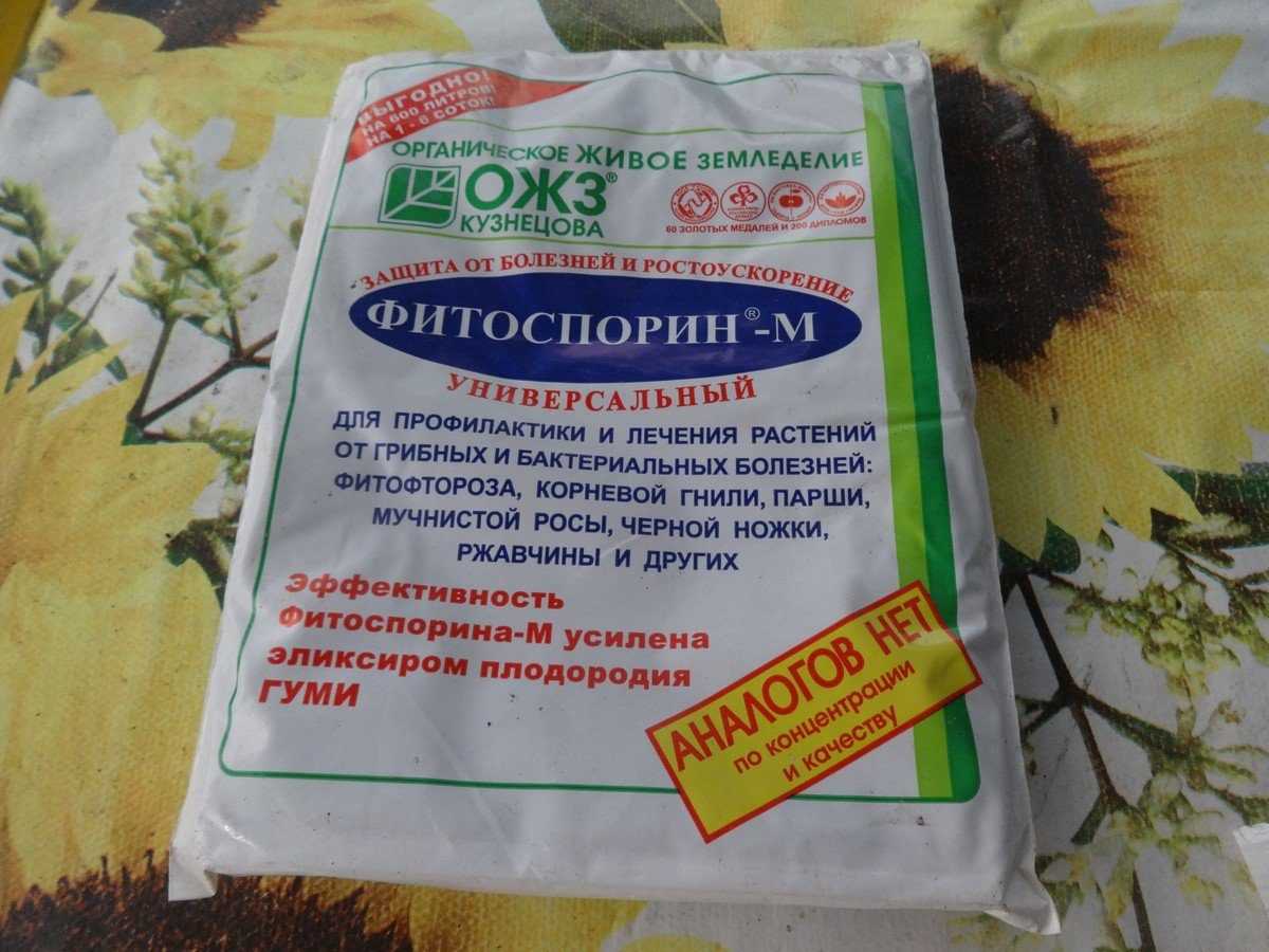 Болезни петунии и вредители: борьба с ними и лечение народными средствами, почему растение вытягивается, как реанимировать цветок, если он гибнет?