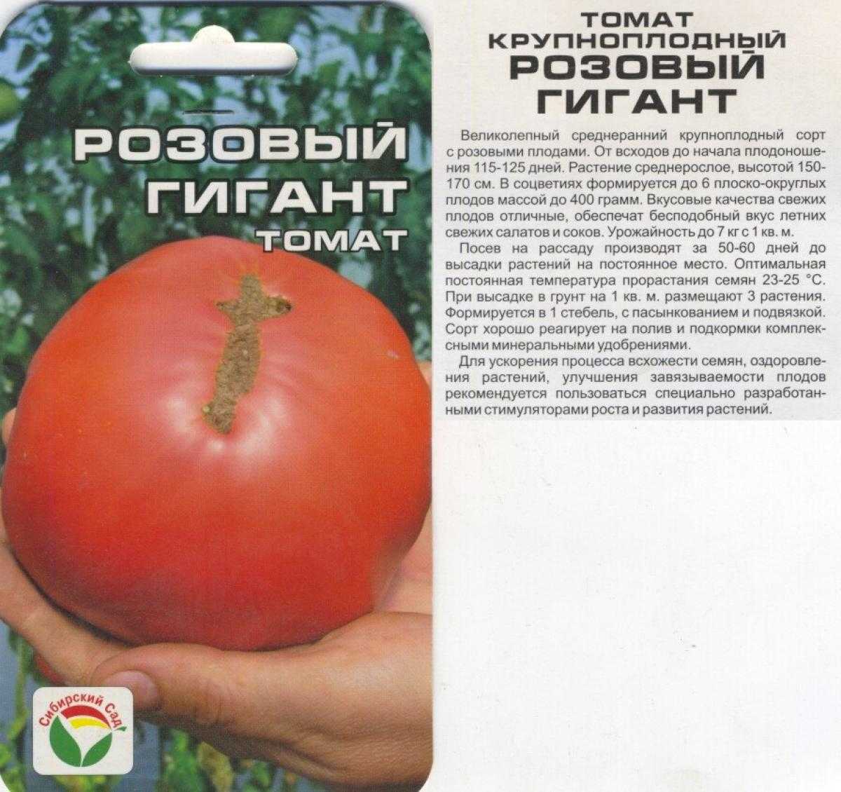 Томат розовый гигант: отзывы (32), фото, урожайность, описание и характеристика | tomatland.ru