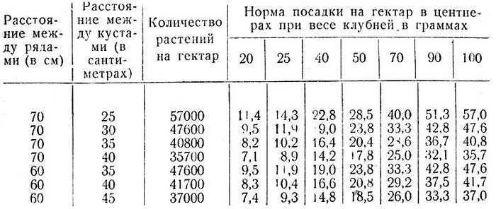 ᐉ норма посадки картофеля на 1 гектар и сотку (в шт. и кг) - roza-zanoza.ru