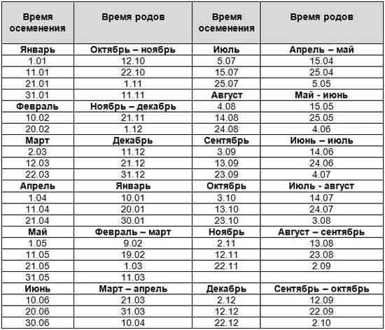 ᐉ как запустить корову перед отелом? - zooon.ru