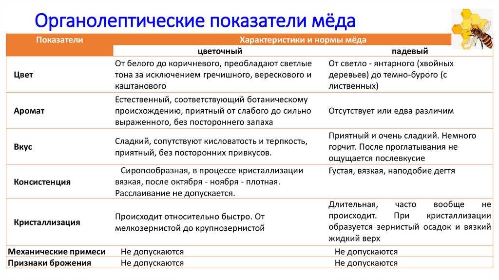 Должен ли засахариваться натуральный мед: миф и правда